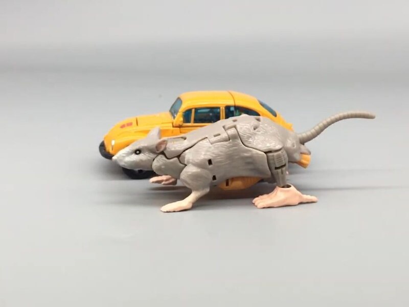 Transformers Kingdom Rattrap (9c) (13 of 13)